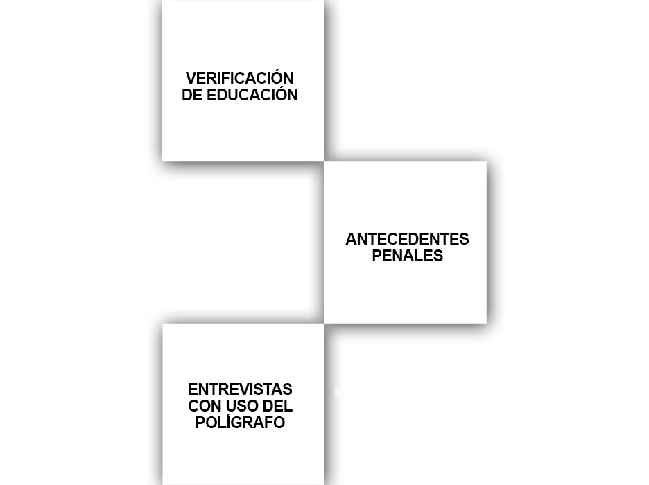 antecedetnes-laborales_damero